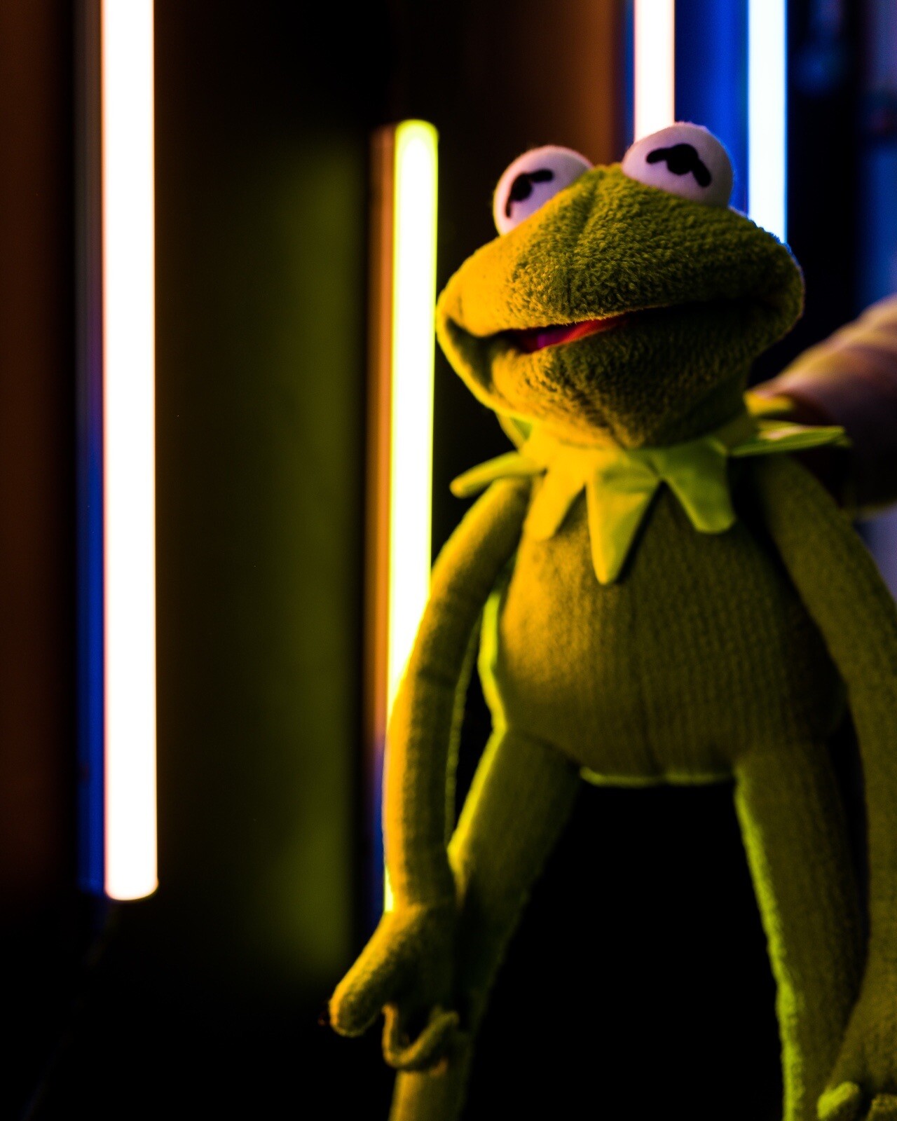 kermit the frog puppet / hand puppet