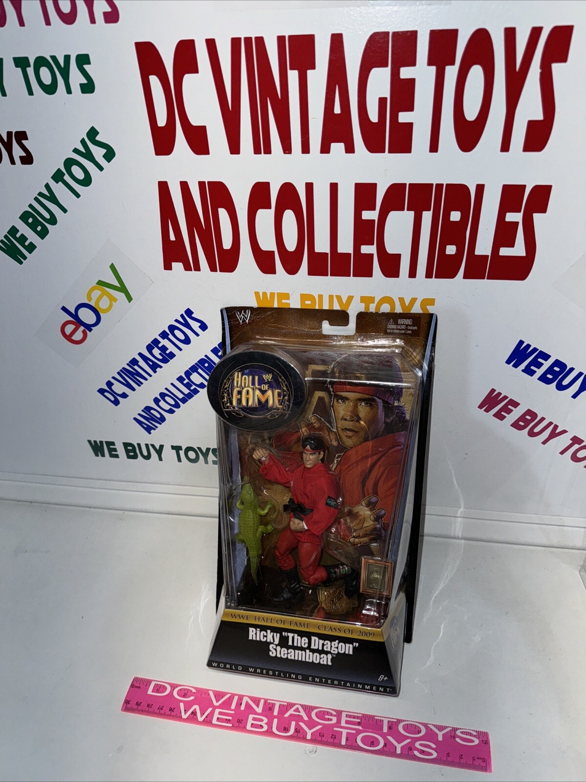 Ricky The Dragon Steamboat WWE Hall of Fame 2009 Mattel Legends 2010 Elite 🔥