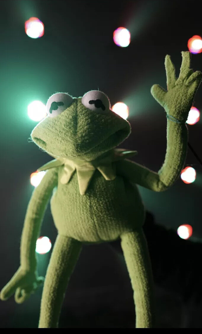 kermit the frog puppet / hand puppet