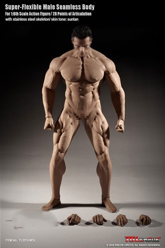 1/6 TBLeague Phicen Scale M35 Super-Flexible Male Seamless Muscular Body