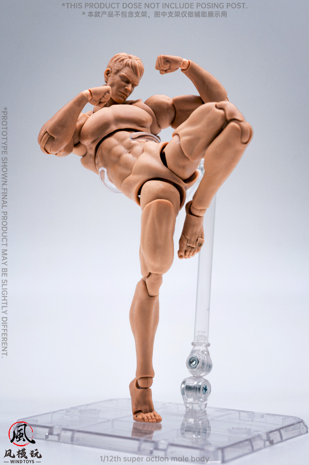 US Stock Wind Toys 1/12 Pale Skin Flexible Man Jointed 6″ Male Figure Head Body