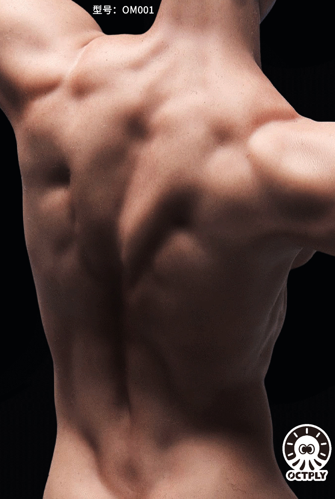 OCTPLY OM001 1/6 Male Strong Muscle Super Flexible Joint Body For 12”Figure