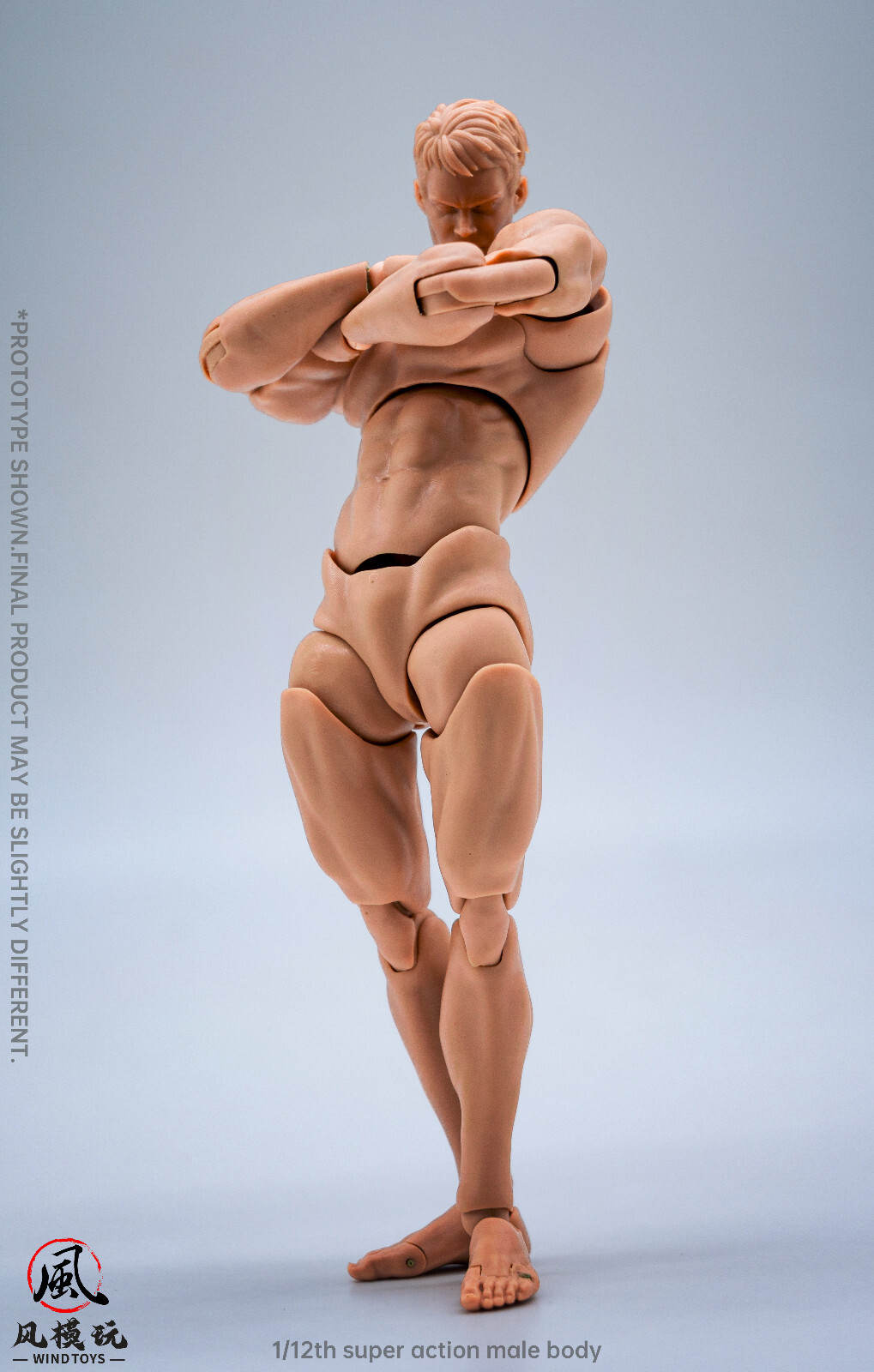 US Stock Wind Toys 1/12 Pale Skin Flexible Man Jointed 6″ Male Figure Head Body