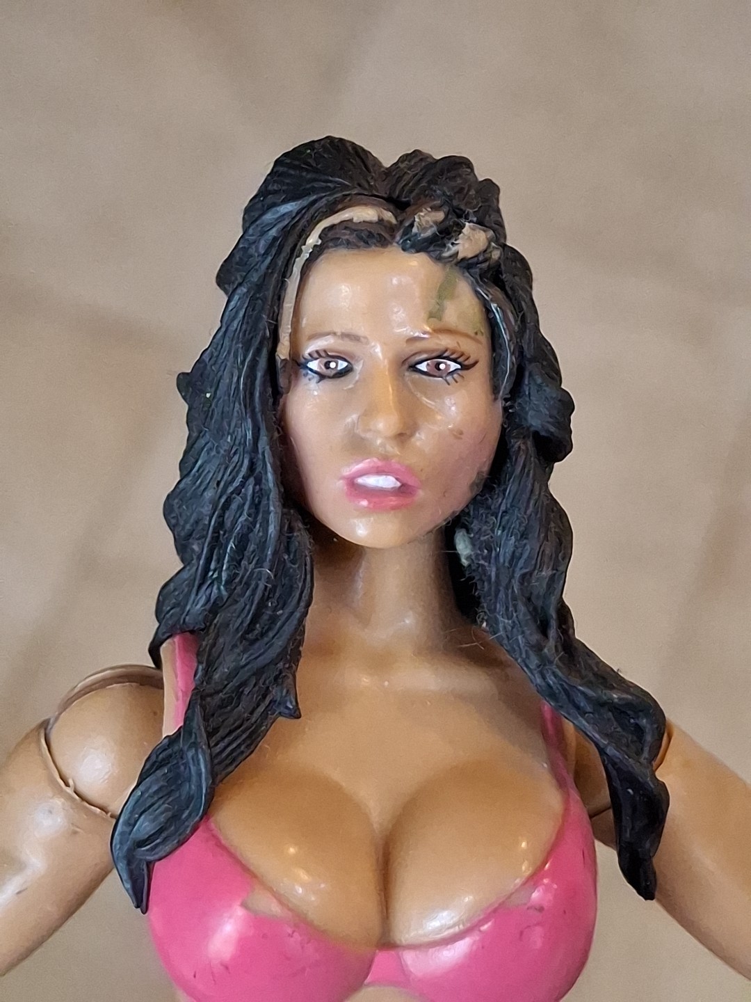WWE Ruthless Aggression Candace Michelle Series 26 Jakks 2007 Wrestling Figure
