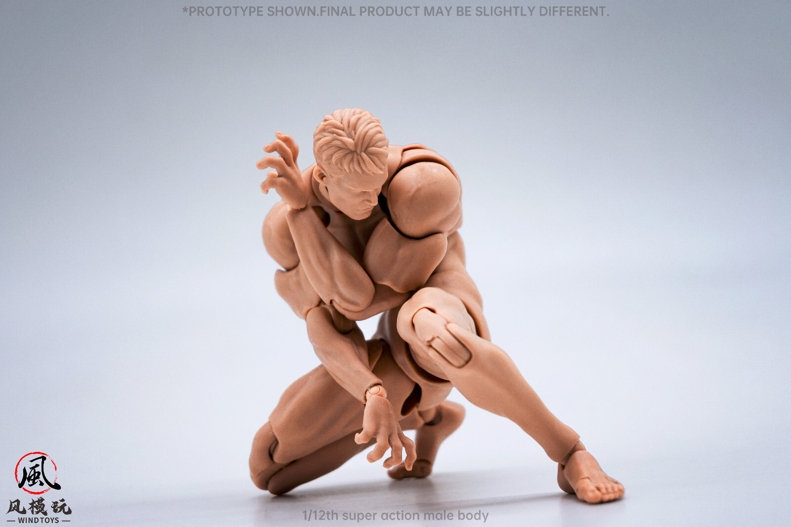 US Stock Wind Toys 1/12 Pale Skin Flexible Man Jointed 6″ Male Figure Head Body